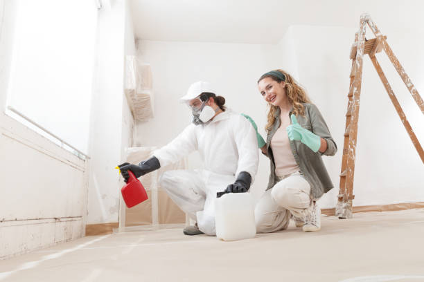 Best Airborne Mold Testing  in Bear, DE